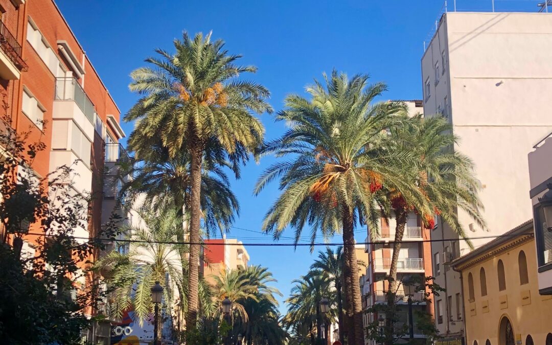 Barrios de Valencia más demandados en 2026: guía por presupuesto