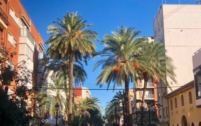 Barrios de Valencia más demandados en 2026: guía por presupuesto